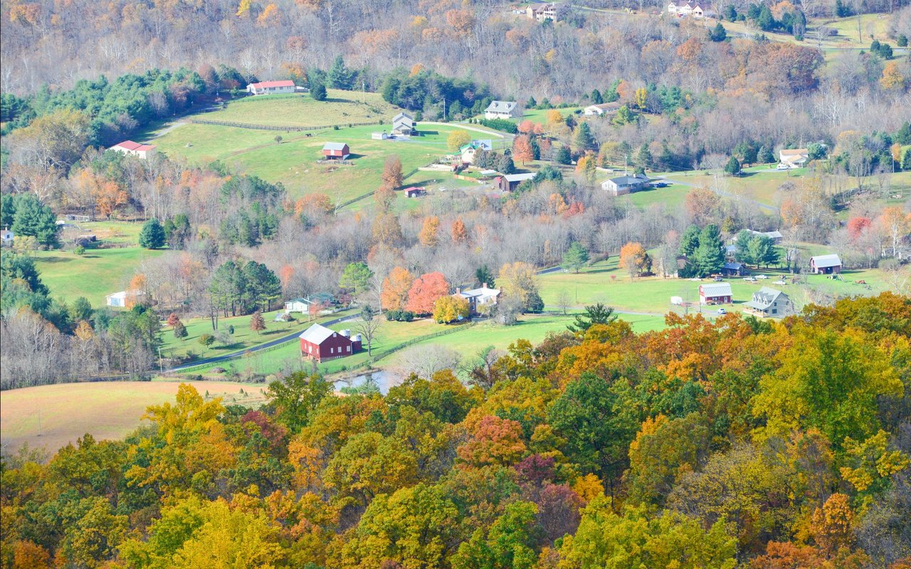 Hensley Hollow Farms
