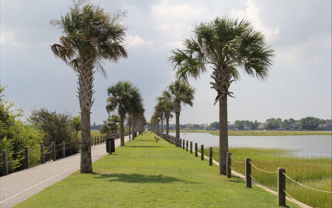The Best Picnic Spots in Charleston