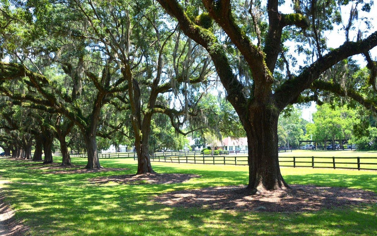 Mount Pleasant