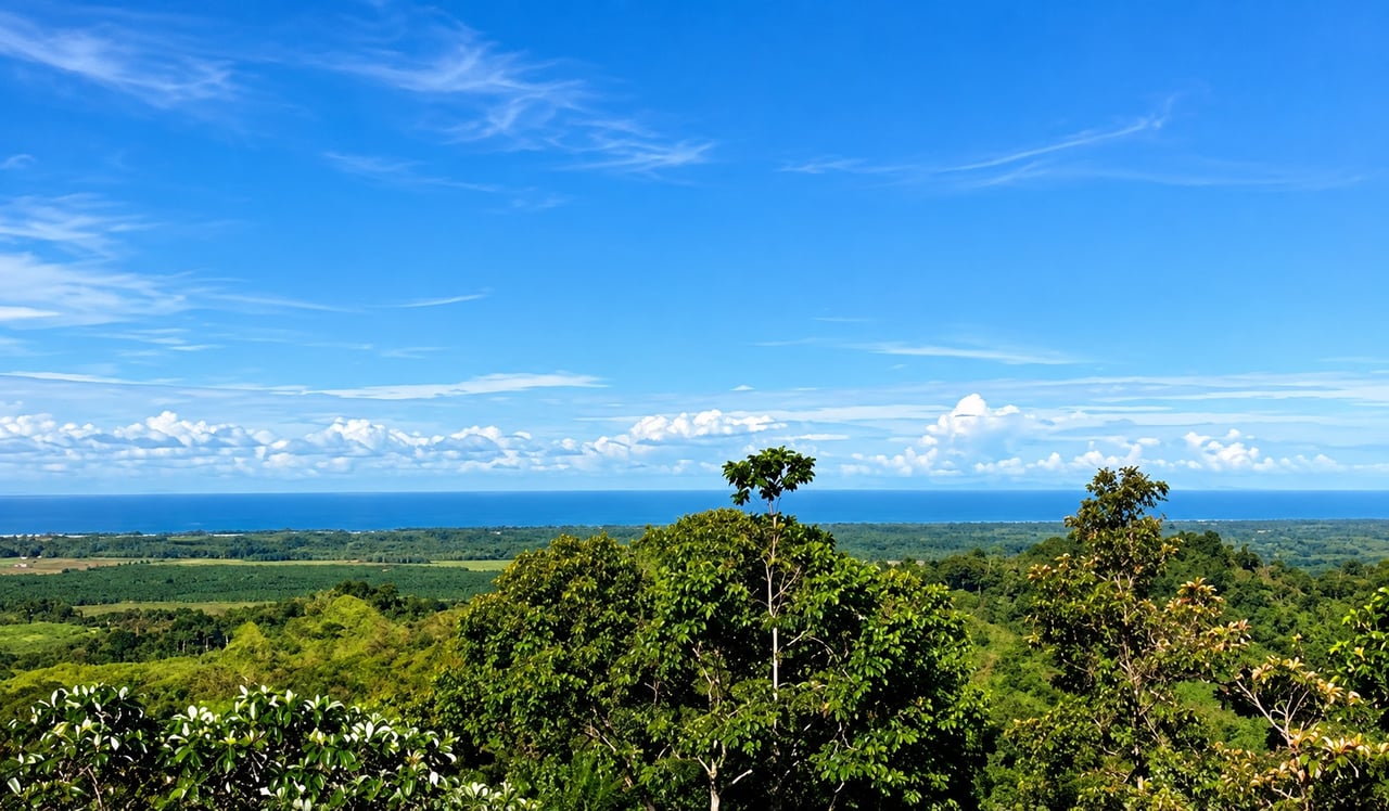 Vista Grande, 235 Acres with 6 bed home and Pool, (HUGE PRICE REDUCTION)