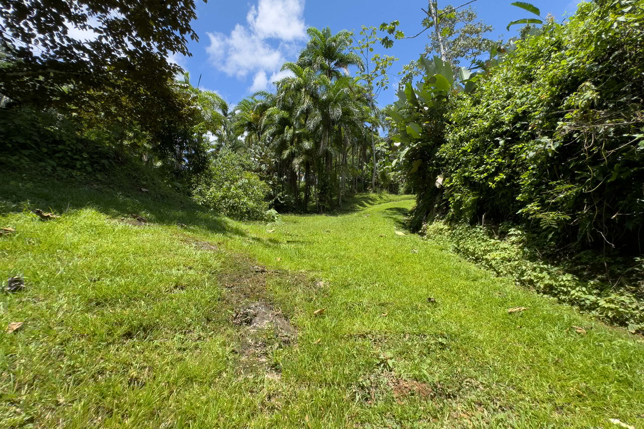 Valley of the Horses , Multi-Home Mountain Retreat -Dominical
