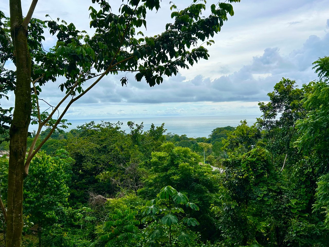 Ocean View Property in Playa Hermosa - Over 1 Acre