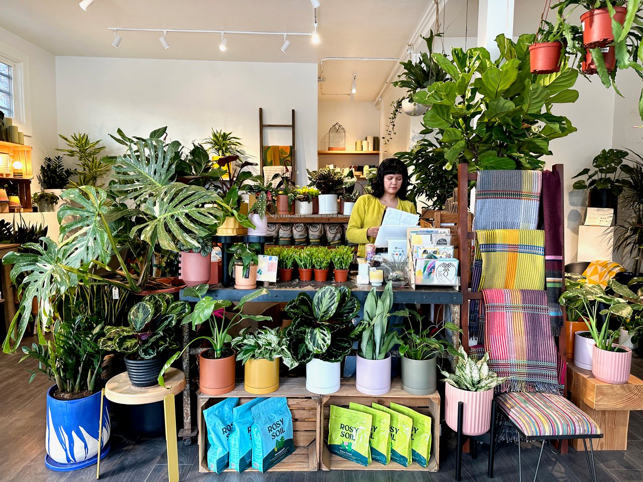 District 5 – Central