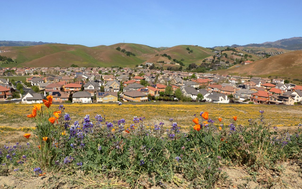 Livermore