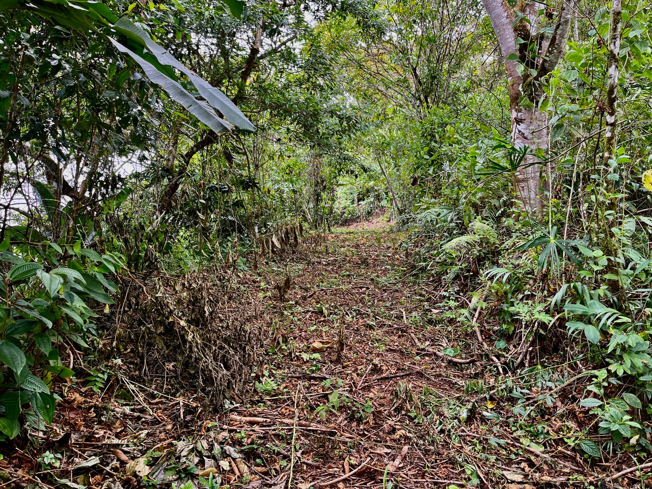 San Luis Ridgetop Ocean & Mountain View Property with Multiple Building Sites!