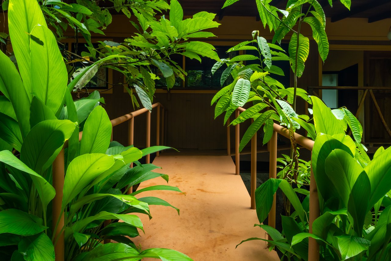 Where the Journey Begins | Private Jungle Estate at Nauyaca Waterfalls