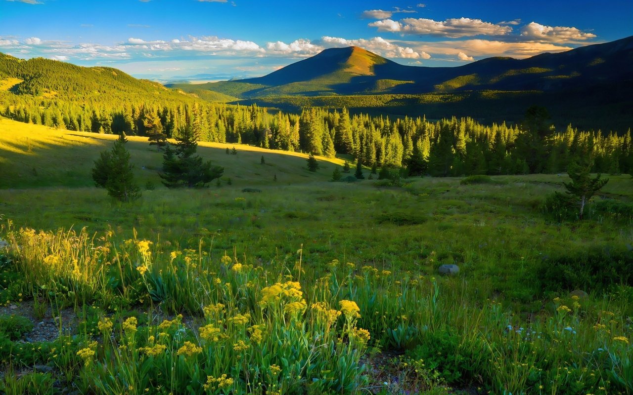 Silverthorne