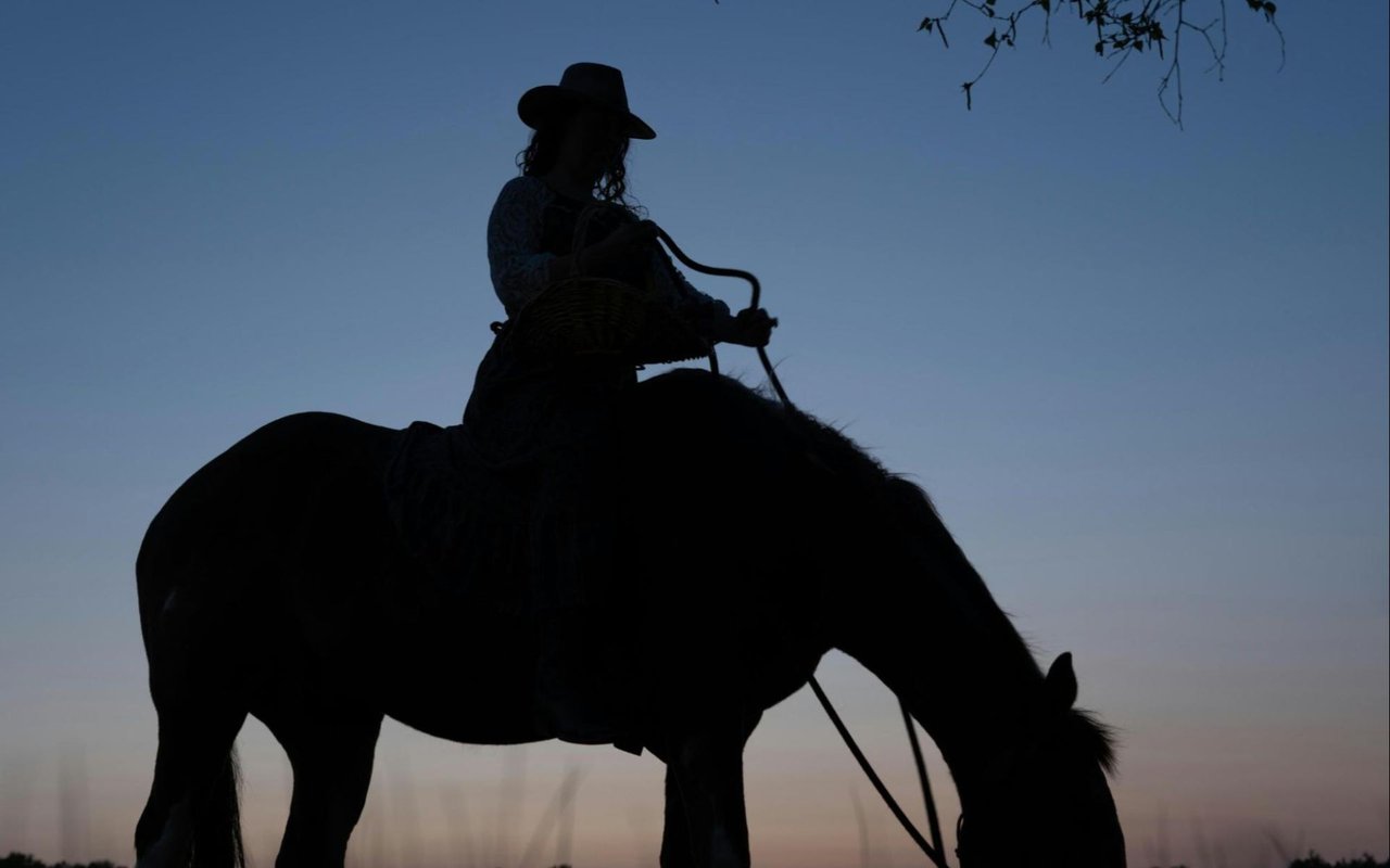 Queen Creek Horse Properties: Where Arizona's Equestrian Lifestyle Meets Luxury Living