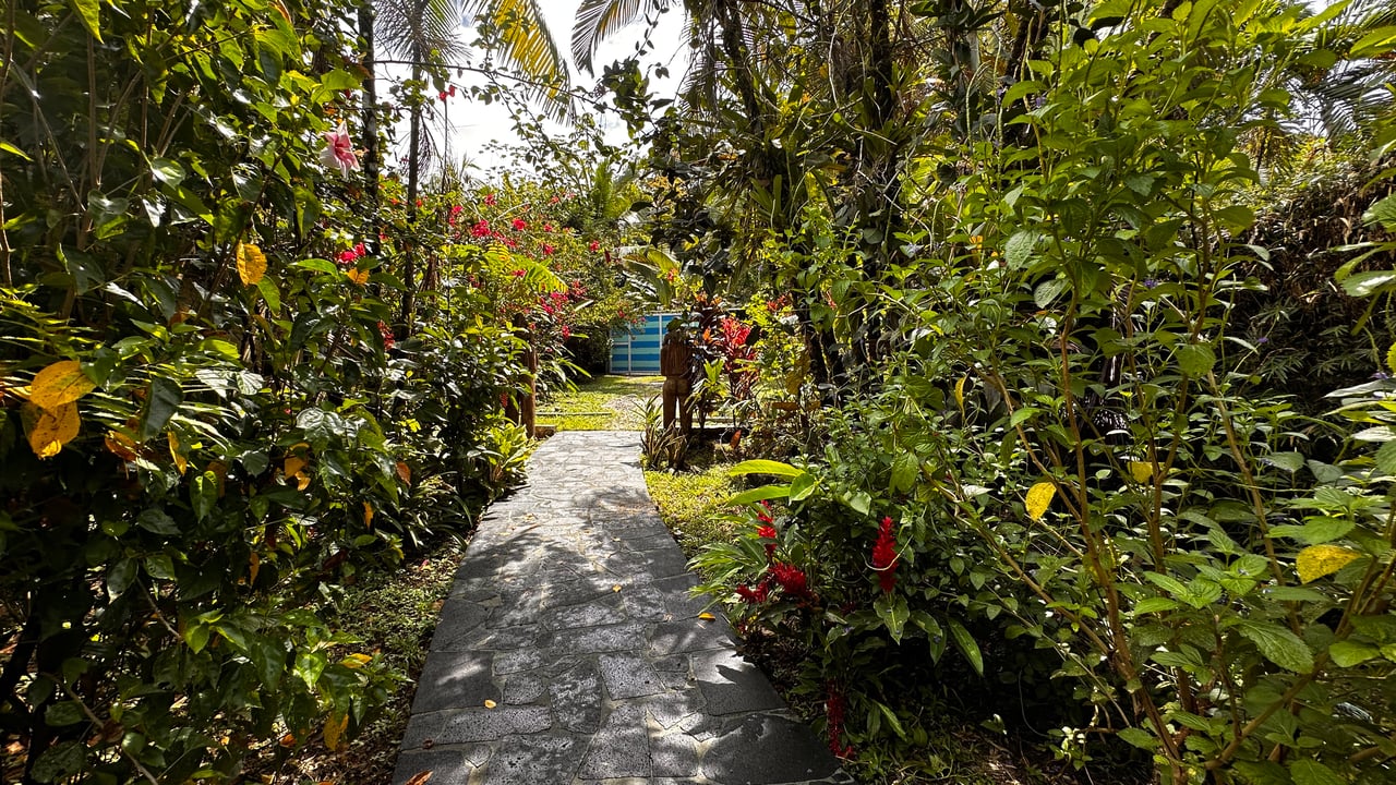 Stunning Two-Home Property in Ojochal – A Tropical Retreat with Two Pools