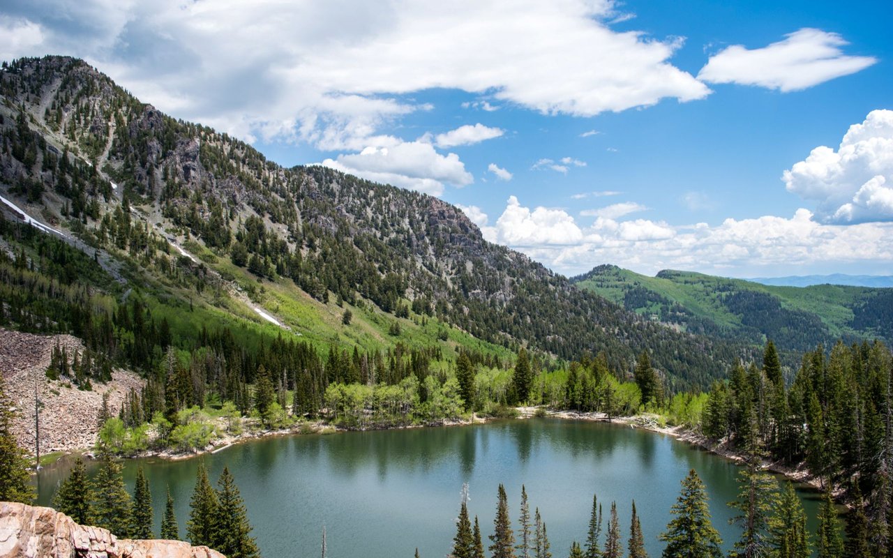 American Fork