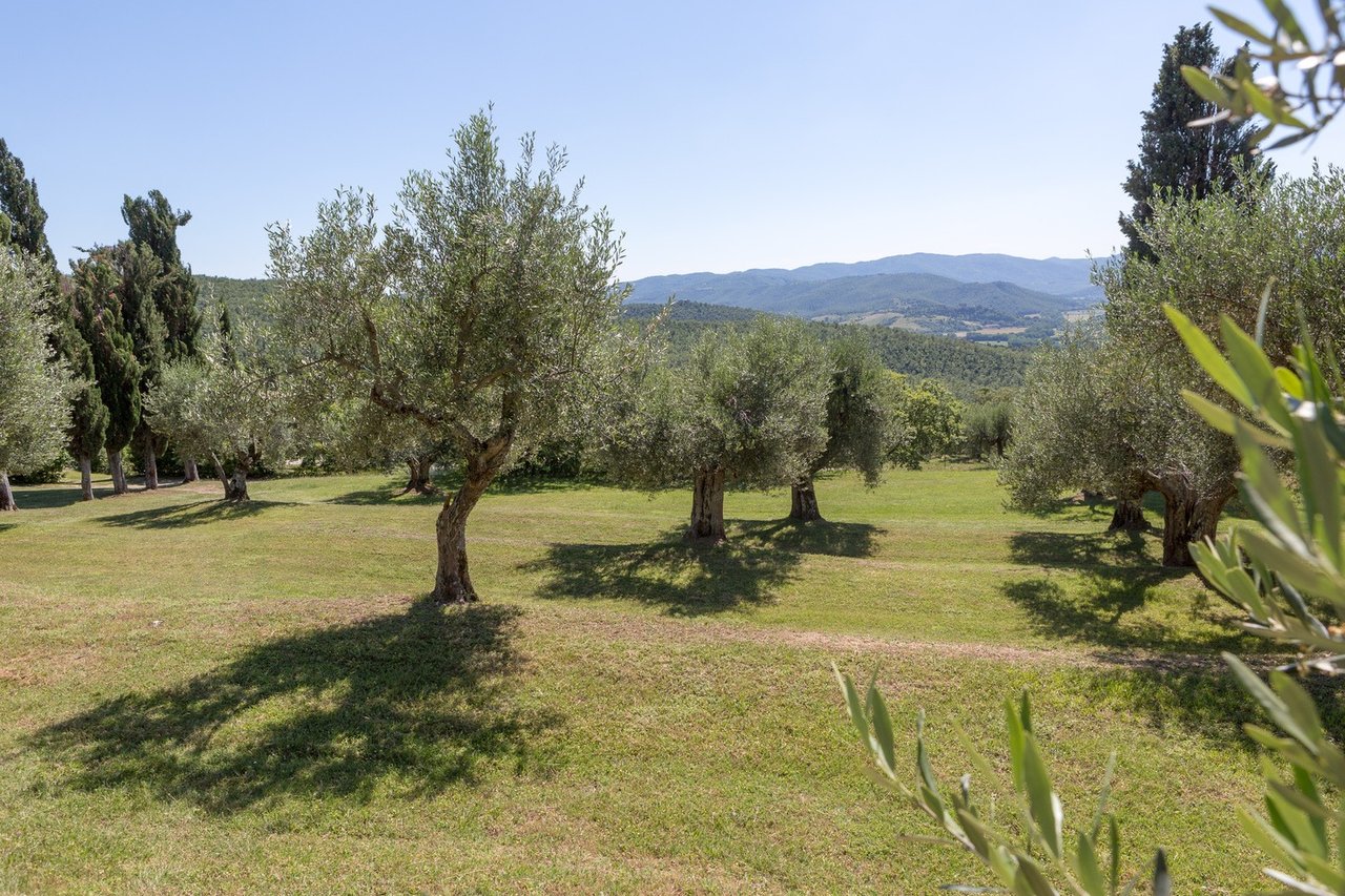 Wide Estate Composed of Houses and Amenities