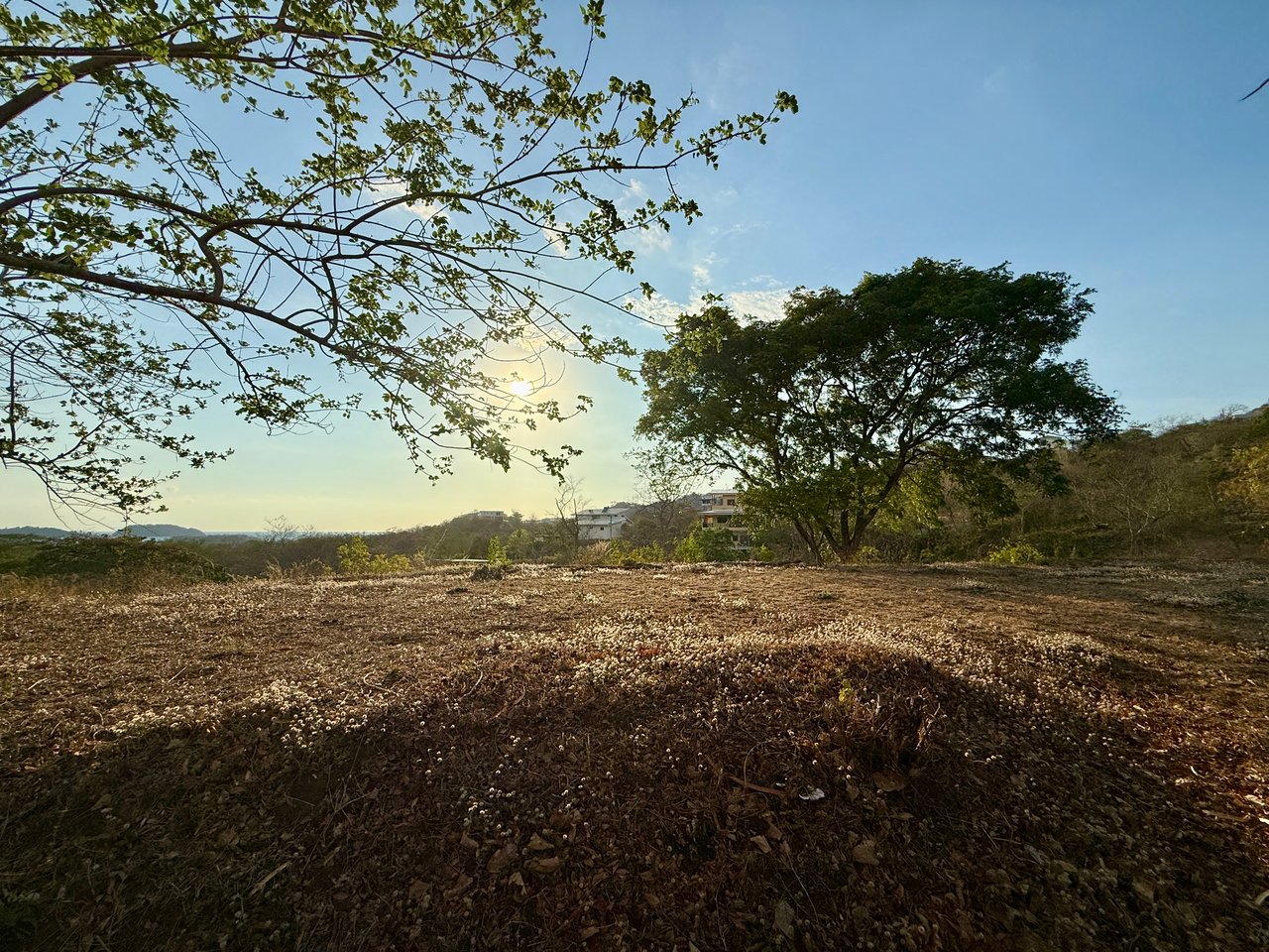 Lot 59 – La Marcela | Tranquil Jungle Ocean View Homesite in Potrero