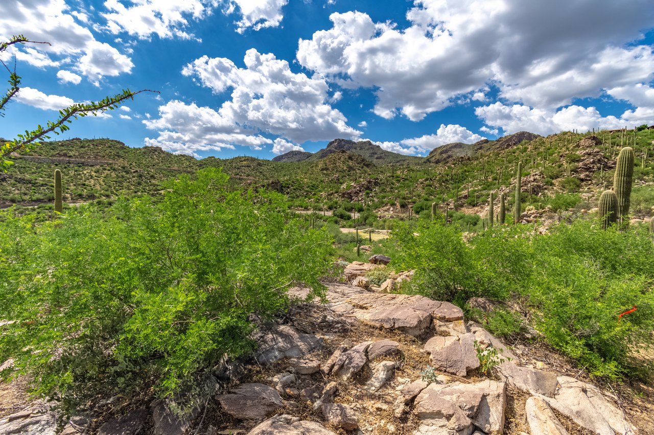 Lot #68 - 3455 Old Saguaro Ranch Road