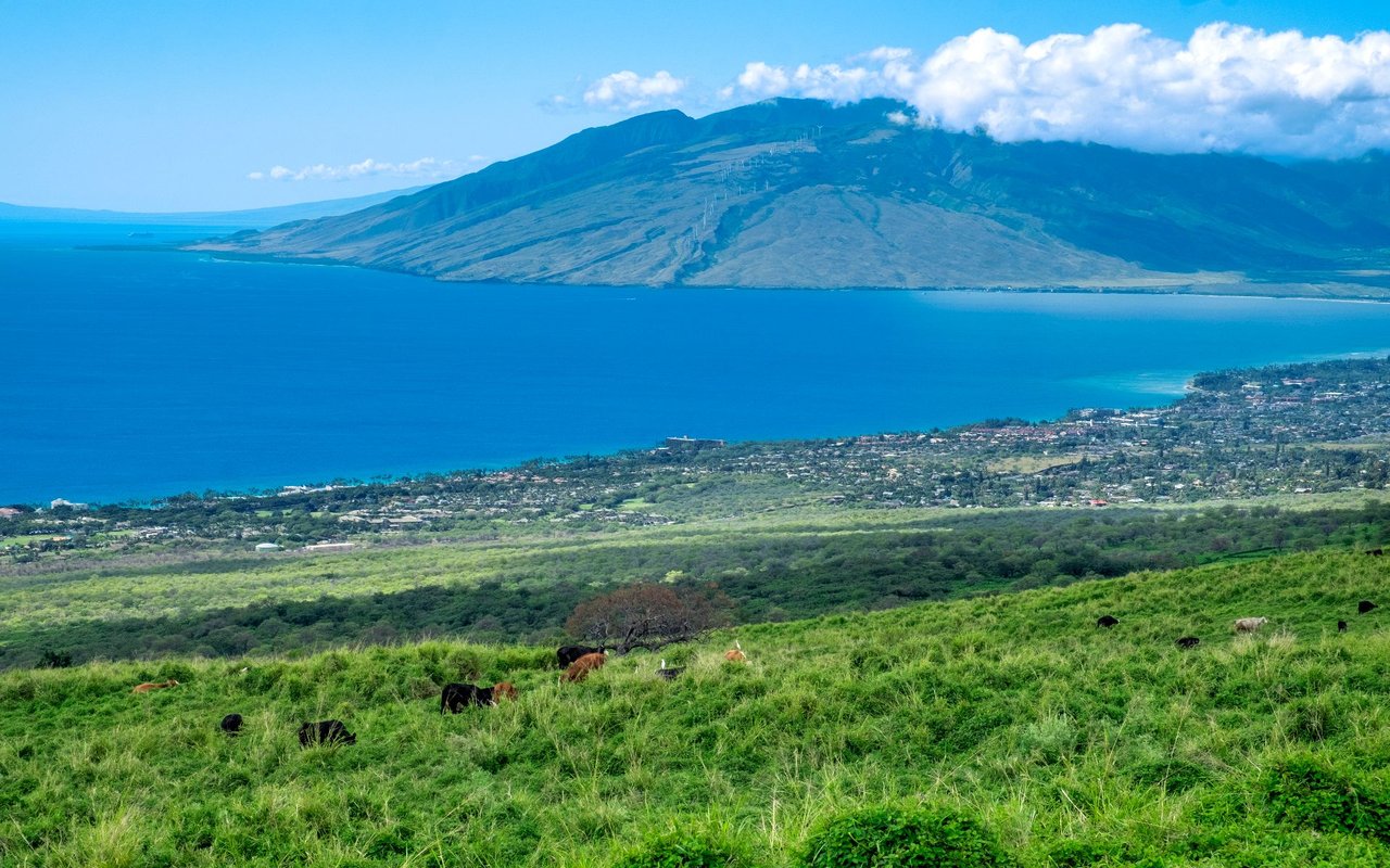 Maalaea
