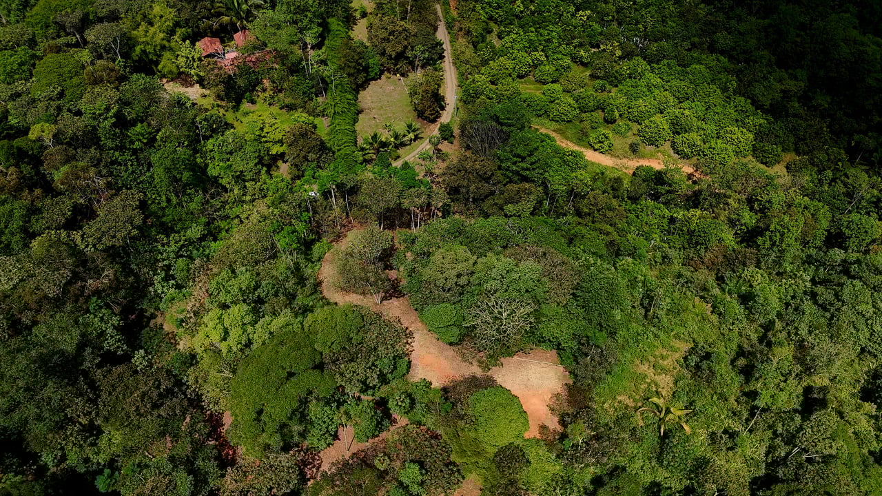 Beautiful mountain view land located in a quiet community in Ojochal. 