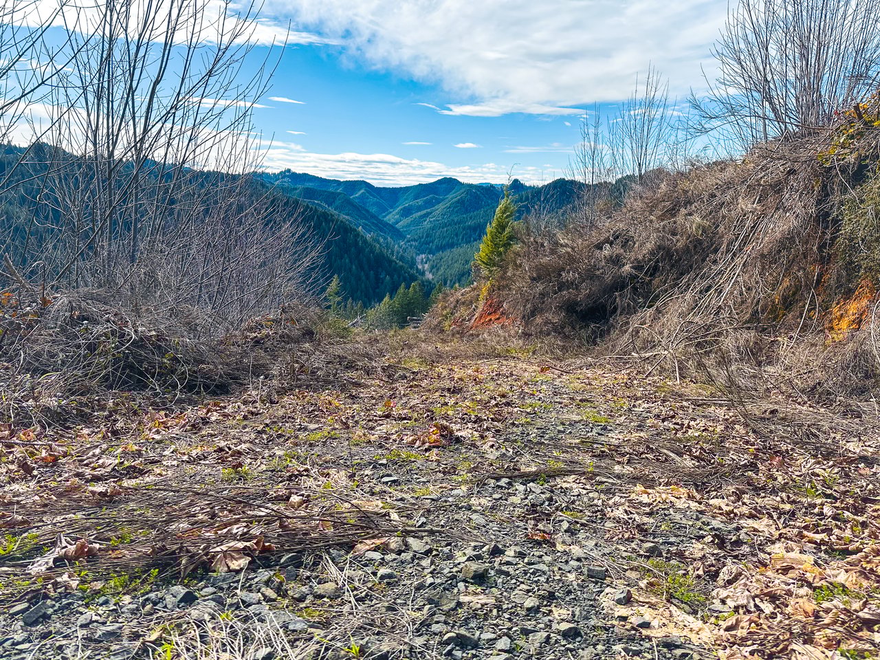 Smith River Back Woods