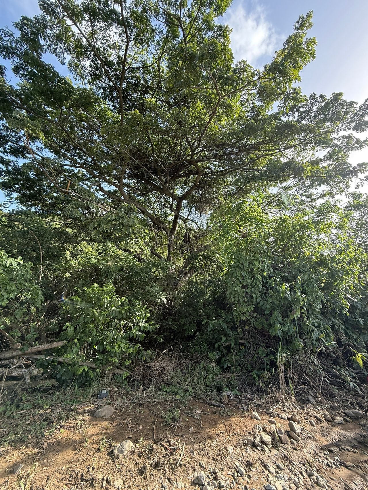 1081 Josiah's Bay 1 Acre Land