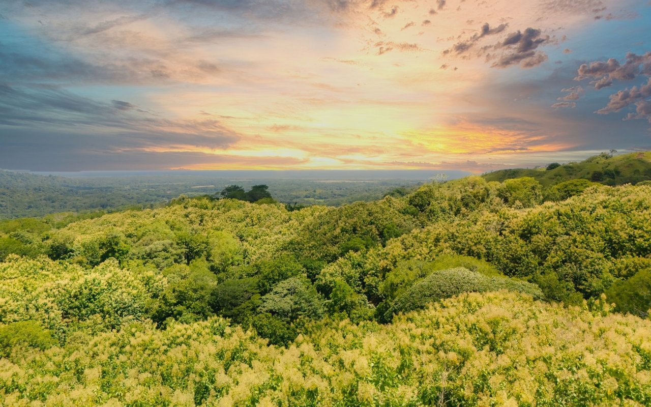 Ocean View Ridge Farm | 135-Acre Estate Near Playa Hermosa, Jacó