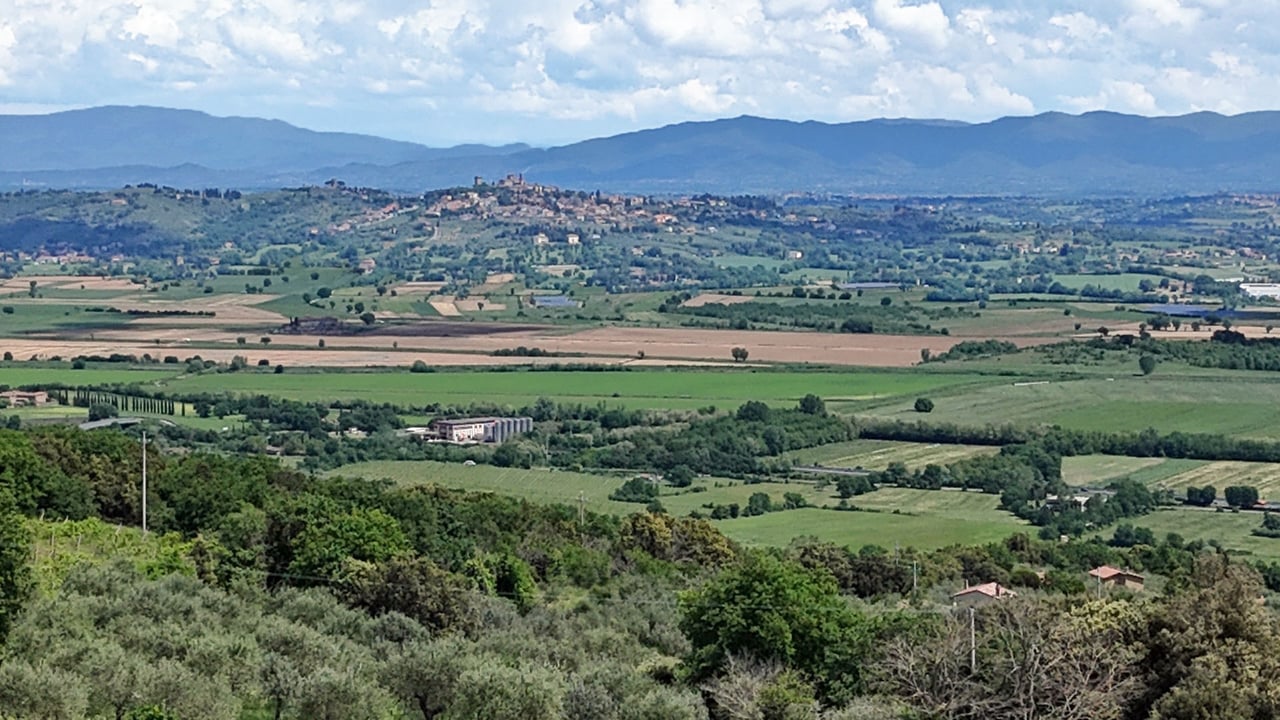 BELVEDERE DEL MAESTRO