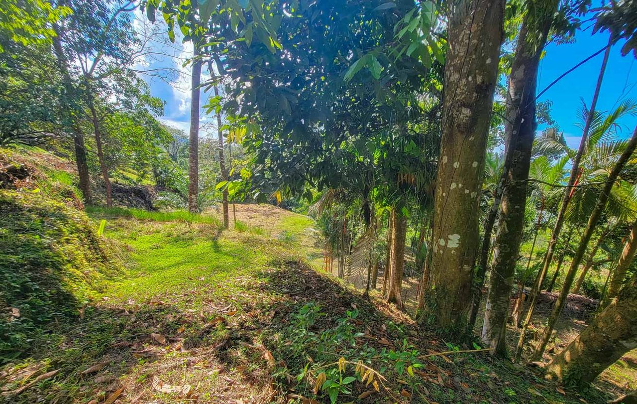 Large Uvita Lot With Whale’s Tail Ocean Views, Sunsets & Legal Water – Ready to Build!
