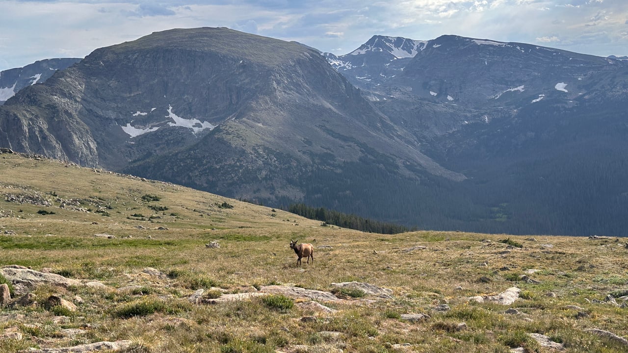 Into the Wild: Discovering Rocky Mountain National Park with Monica