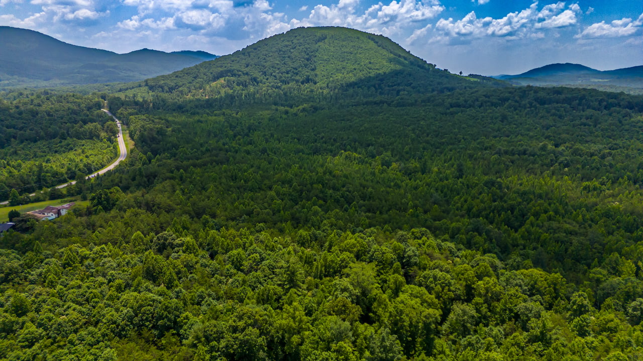 What to Know Before Purchasing 20, 50, 100+ Acres in Western North Carolina