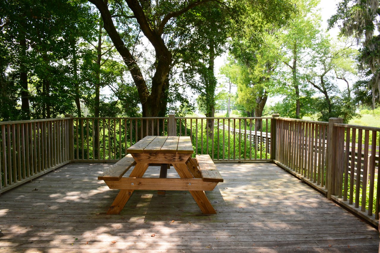 Allston River Bluffs