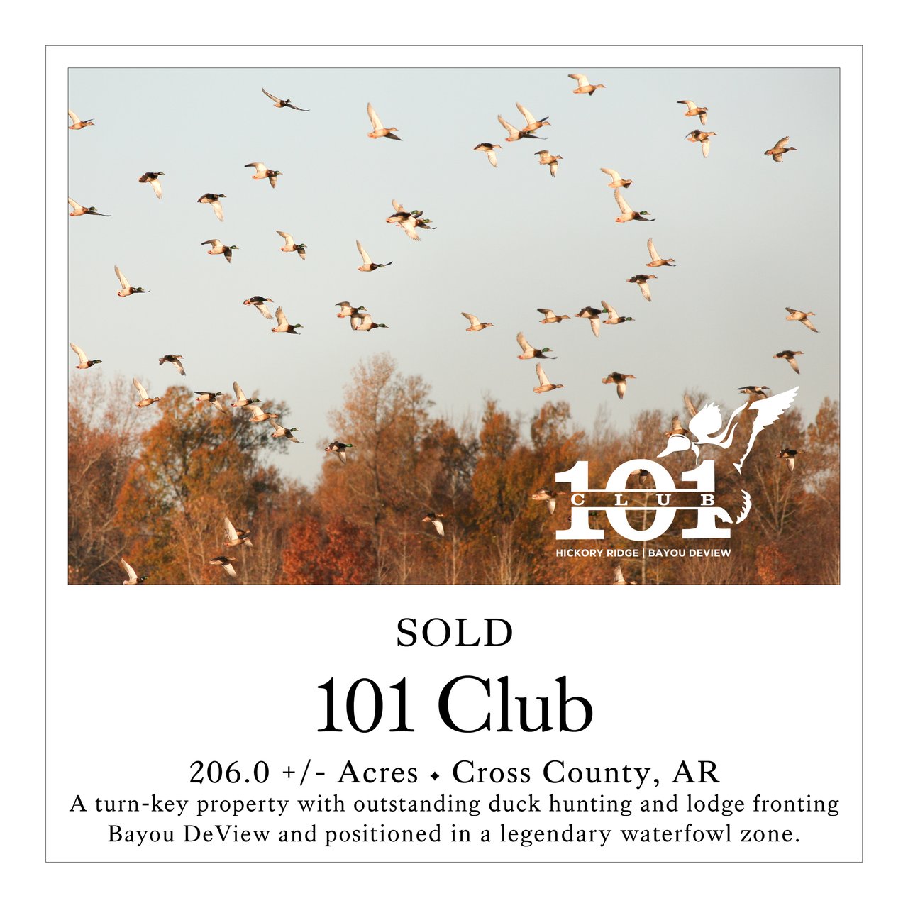 101 Club