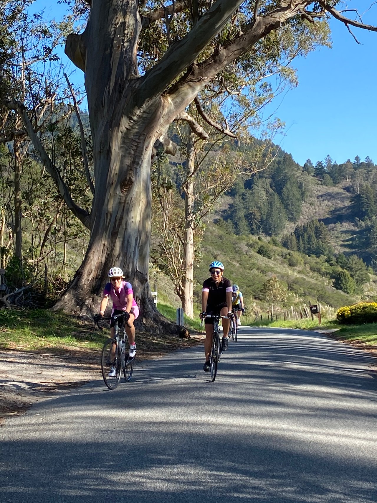 Cycling the Coastside - Insider Tips