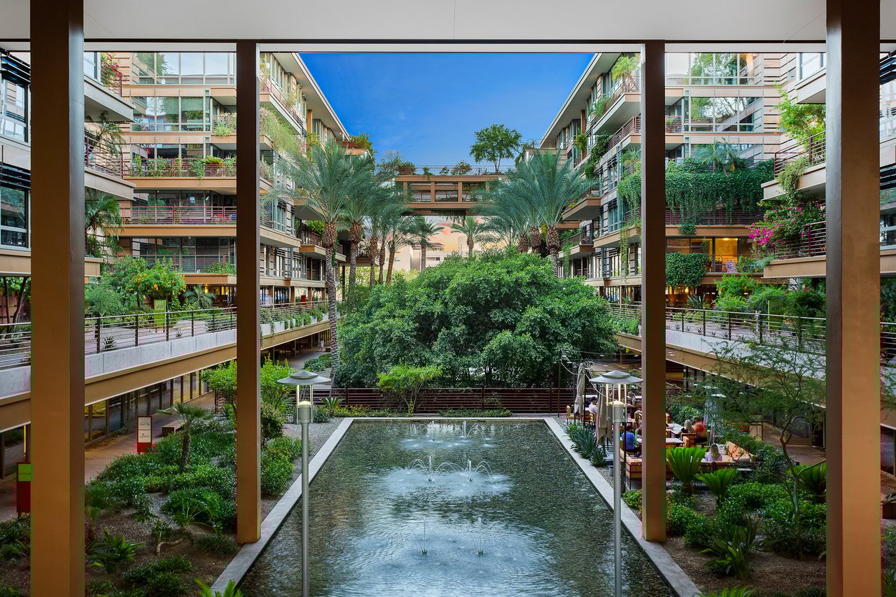 Curious about life at Optima Camelview?
