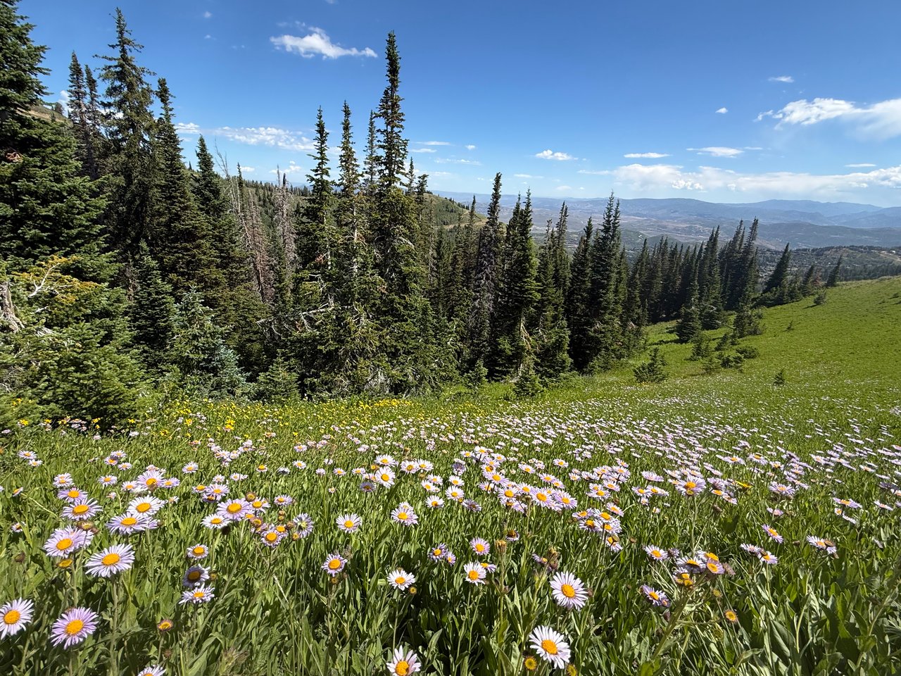 Cancel Your Meetings. Deer Valley is Calling.
