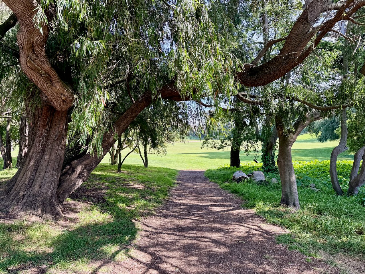 District 2 – Sunset