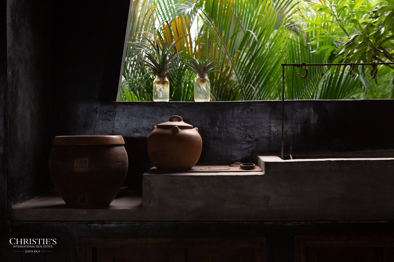 Villa Animales – Luxury Jungle Sanctuary