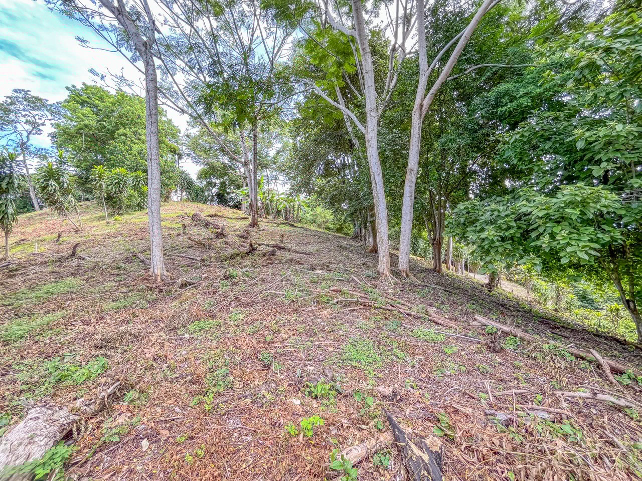 La Reserva Camaronal Lot 34