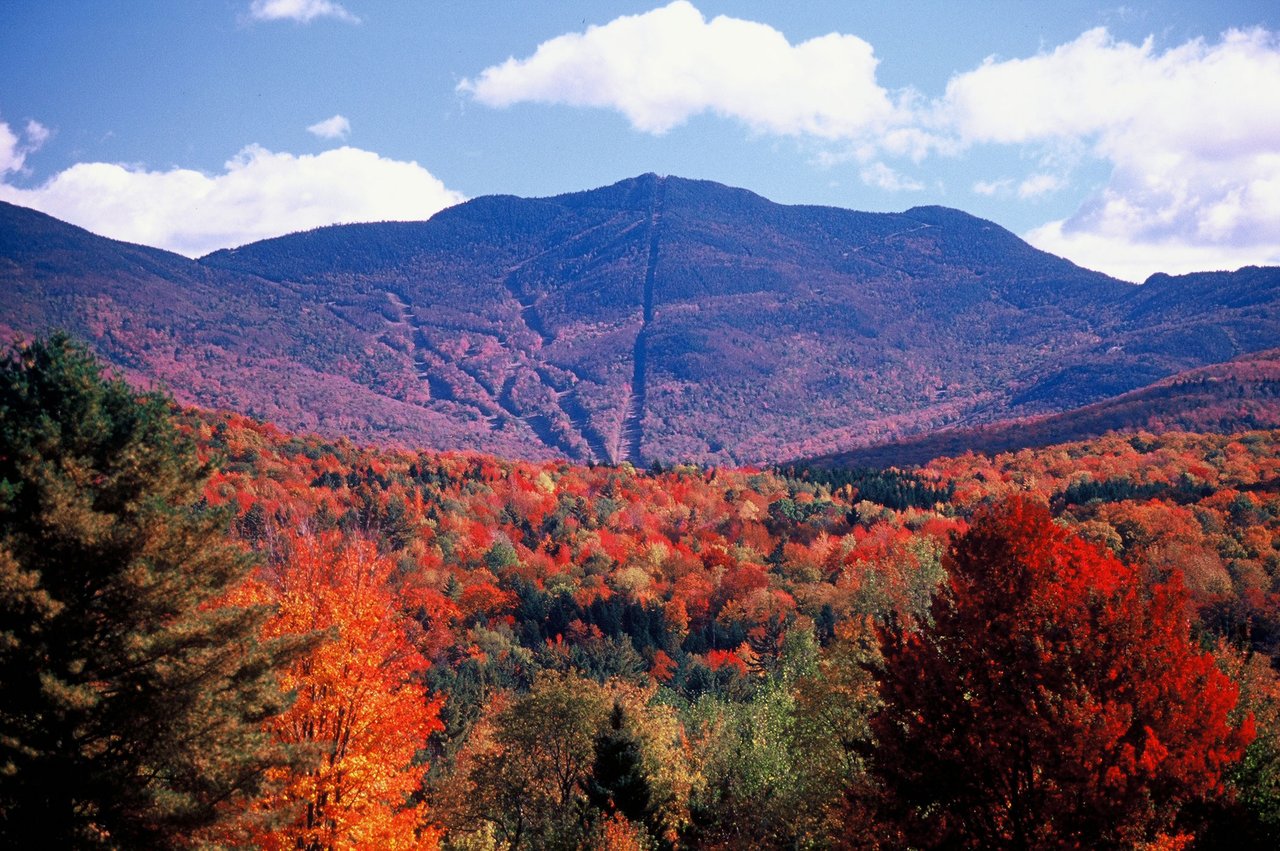 Forested mountain above a valley of bright autumn foliage, with a ski trail down the center.