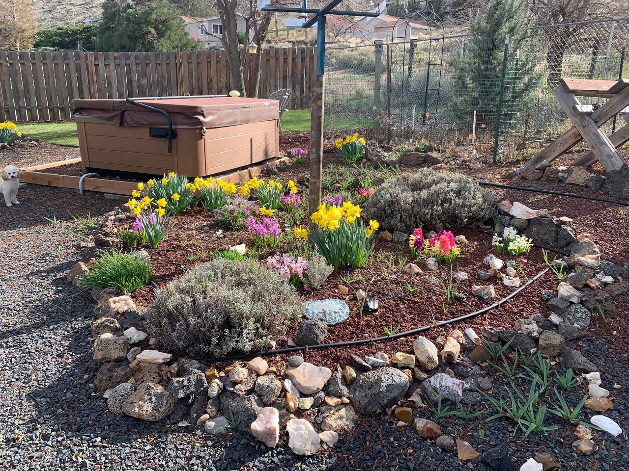 11564 SW Horny Hollow Trail 