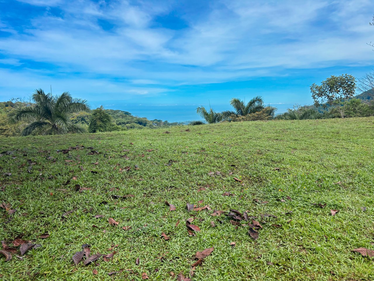 3.6 Acre Ocean View, Near the Beach & Cool Mountain Elevation