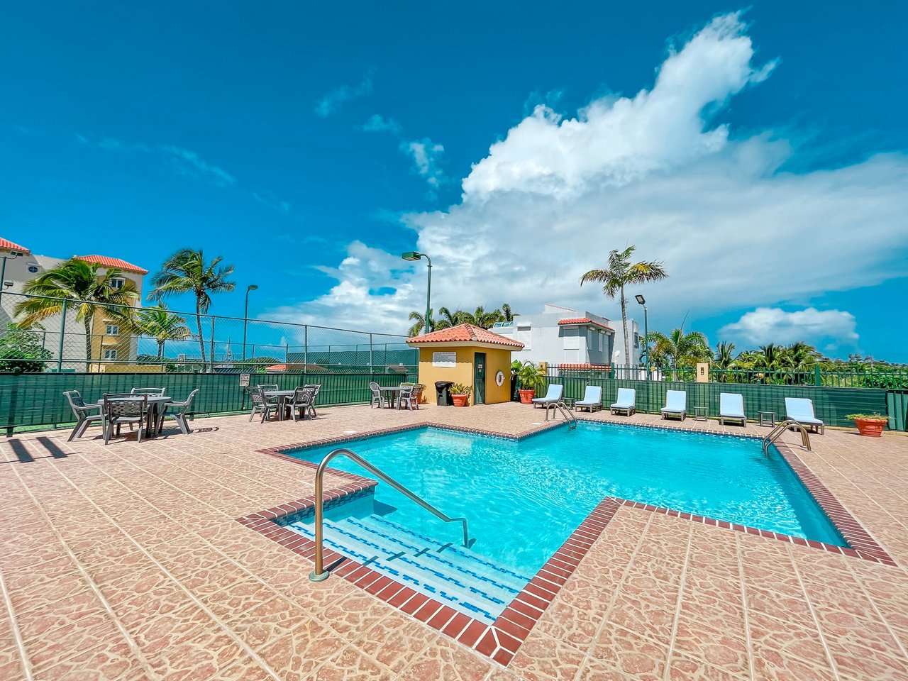 Royal Palm B-502