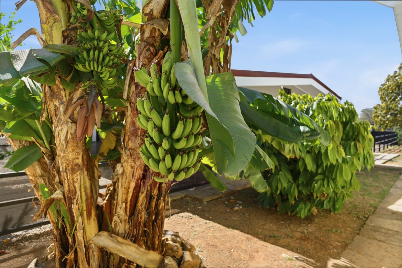 The Jewel of Sardinal | Income, Lifestyle, and Opportunity in One Exceptional Property