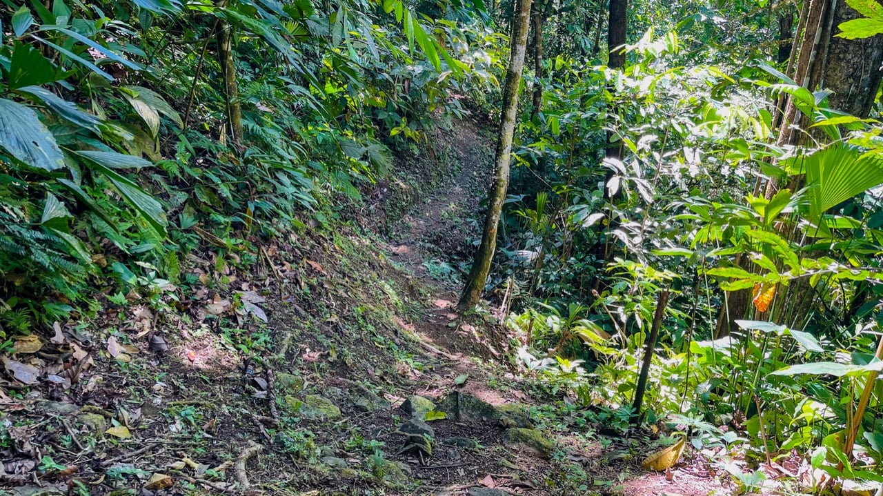 Nature Retreat Estate – Southern Pacific Zone, Costa Rica