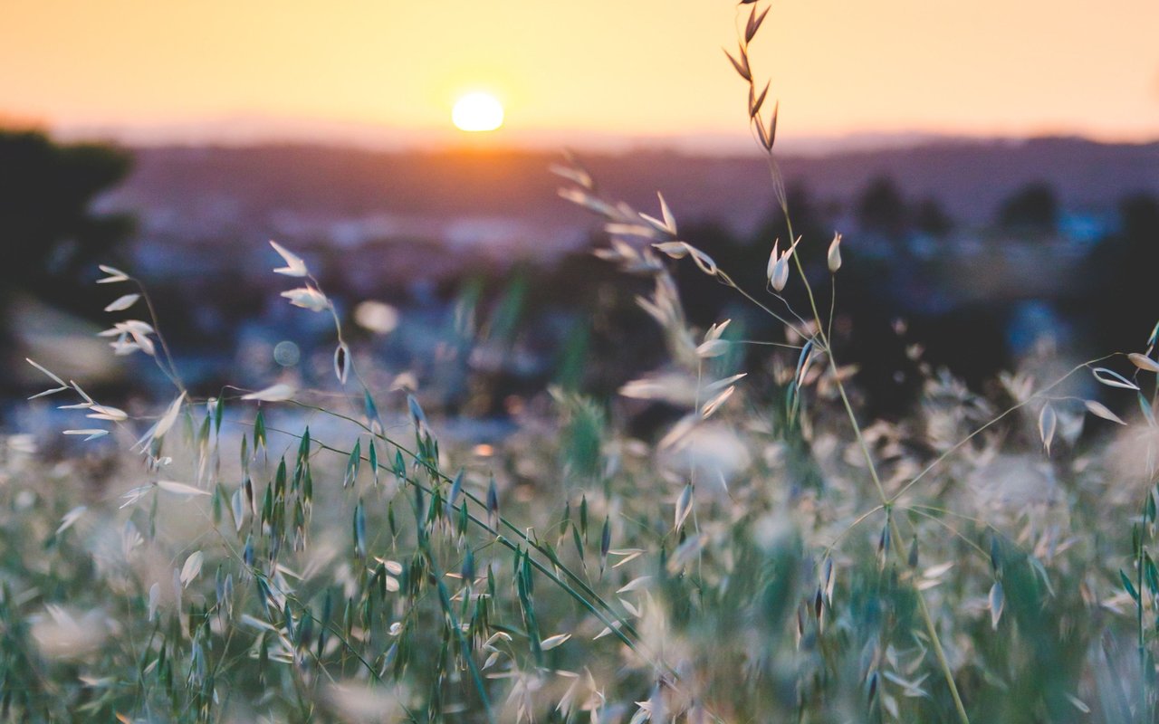 End of Summer Reflections 2019