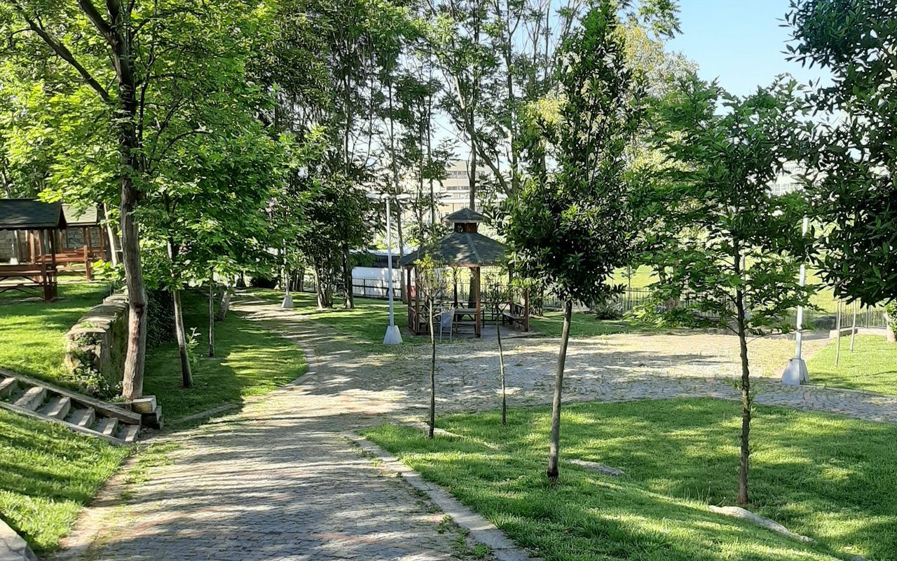 Tree Streets