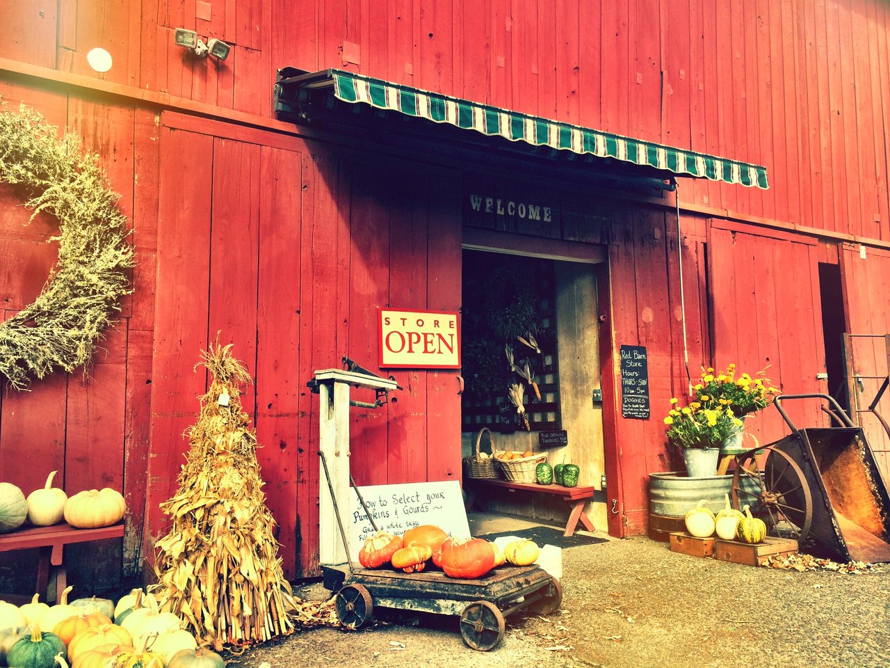 Glen Ellen
