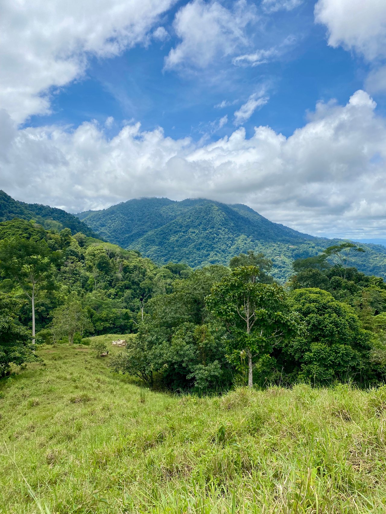 Spectacular 70 Acre Multiple Waterfall Property with Dramatic Views Near Ojochal