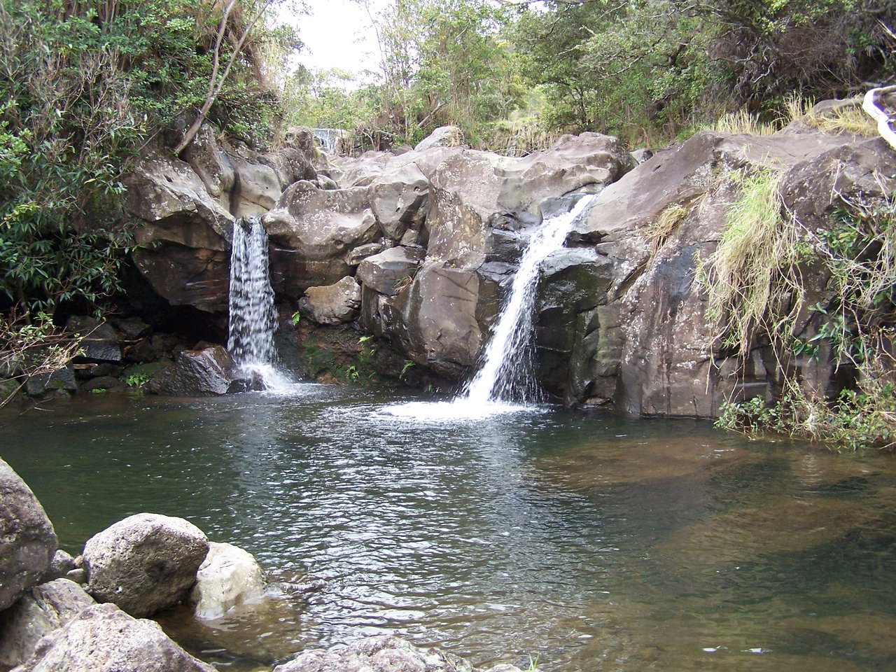 Hamakua Big Island