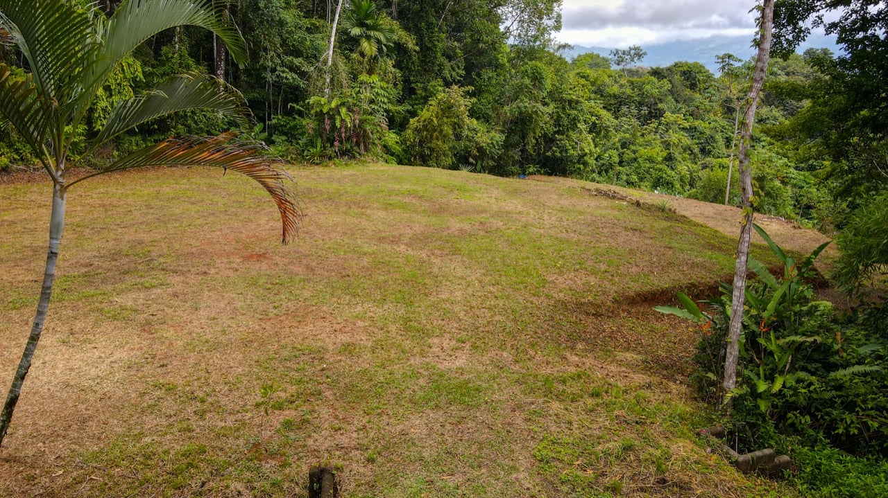 Scenic 2.53 Acres in Fila Cacao Ridge – Build-Ready Lot with Legal Water in Platanillo!
