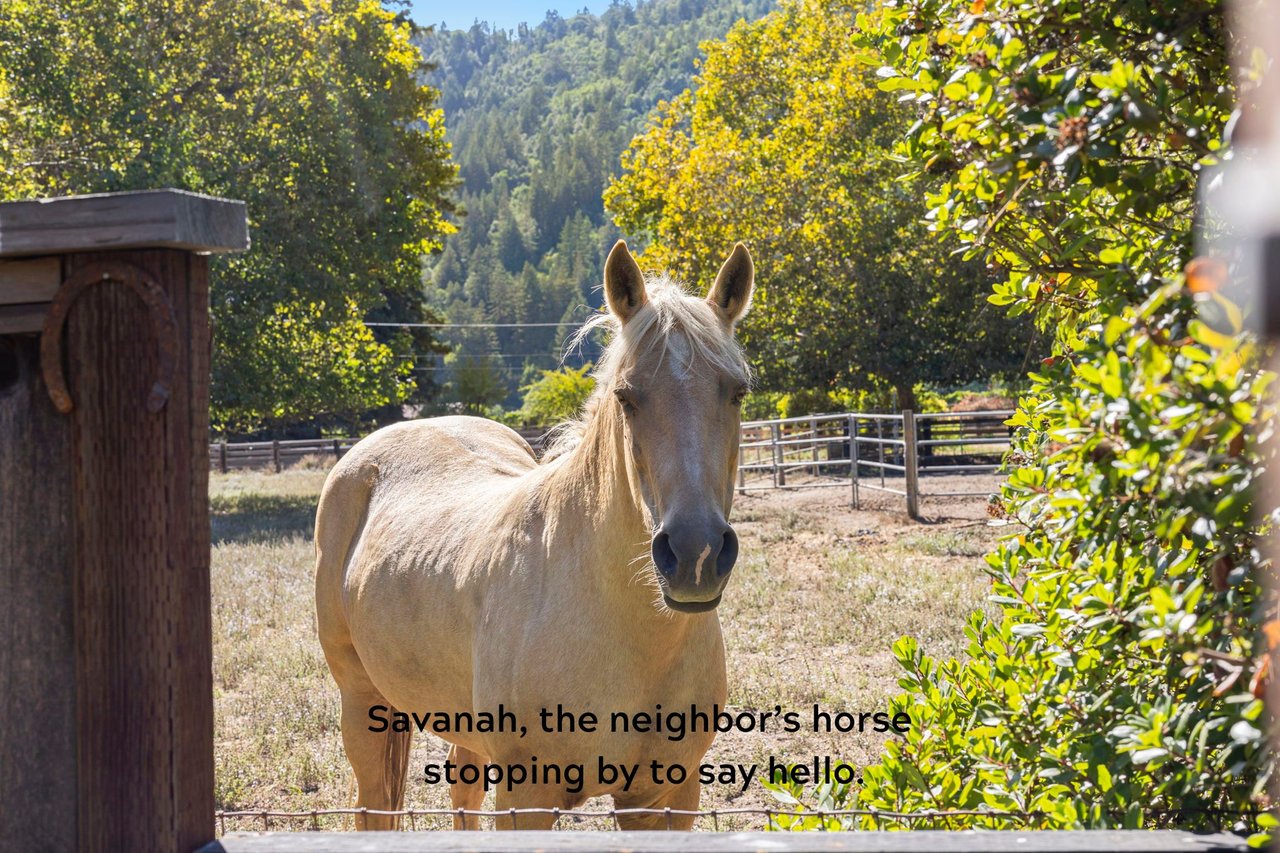 The River Ranch: Life Elevated 