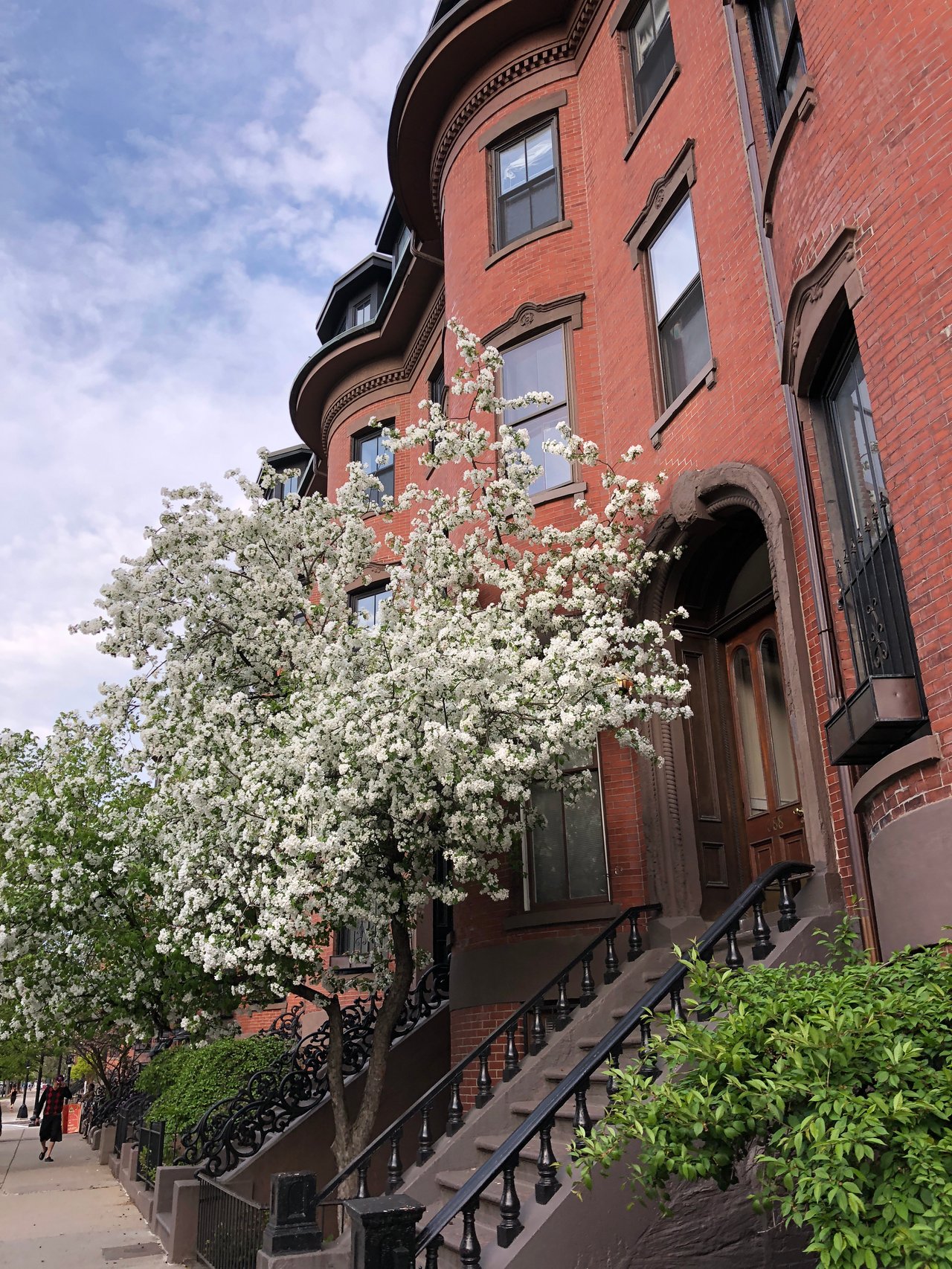 South End