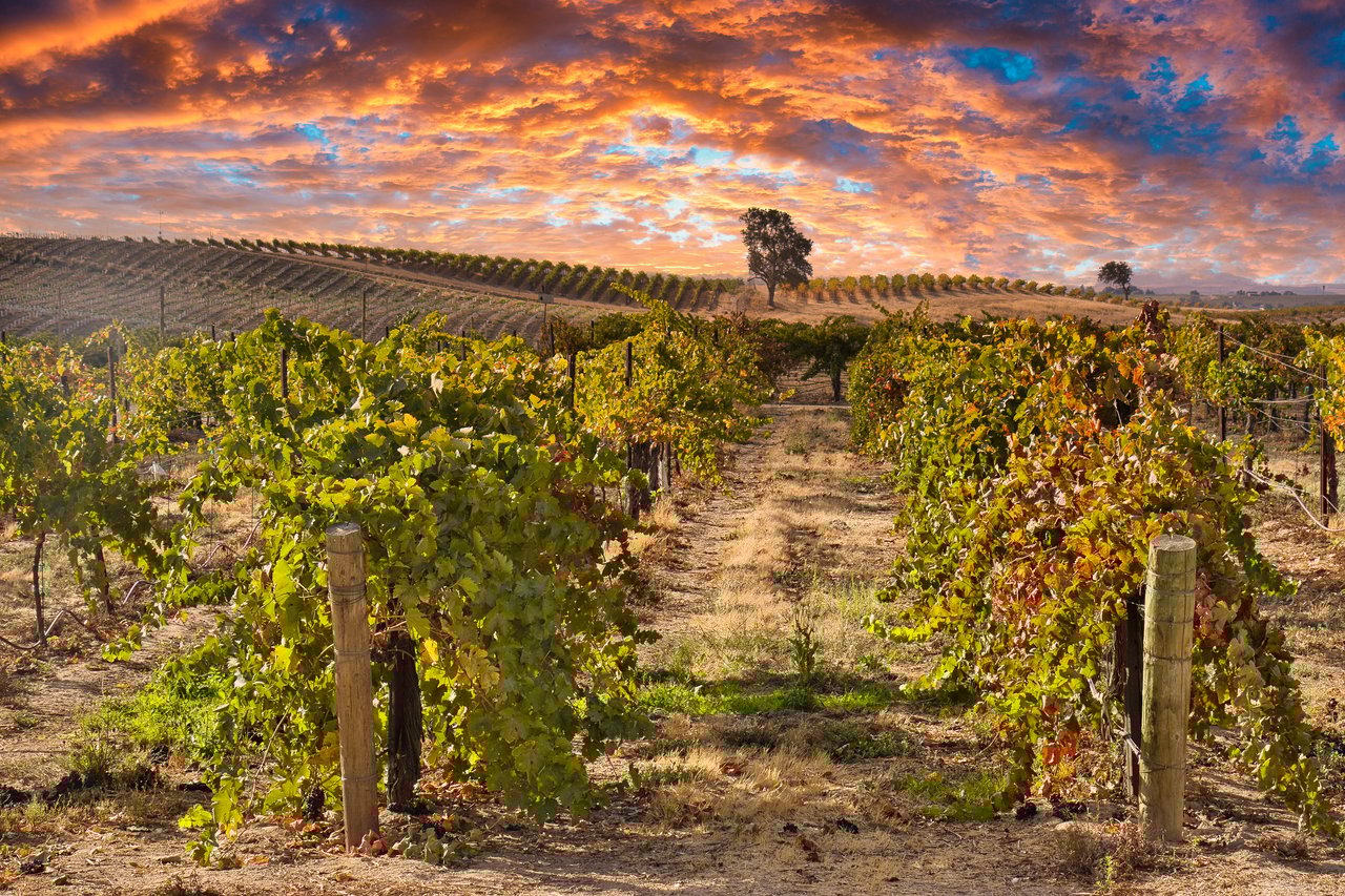 Paso Robles
