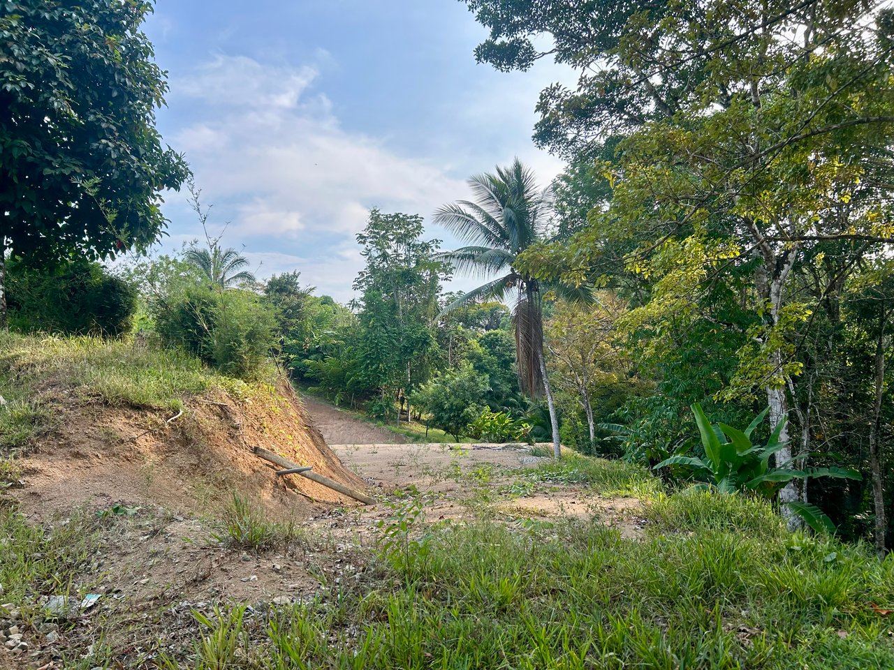 Prime Ready-to-Build Lot in Playa Hermosa with Included 3D Home Design